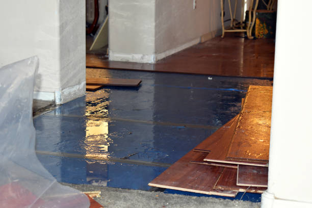 Professional Sewage Cleanup technician working in Patton, CA